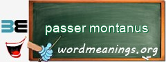 WordMeaning blackboard for passer montanus